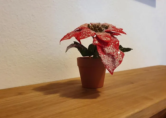 Kroell Zell am Ziller