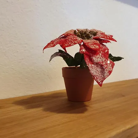 Kroell Zell am Ziller